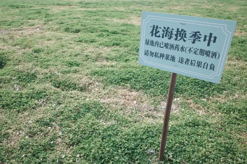 滦南县居家照护服务标准化建设与质量管控要点解析