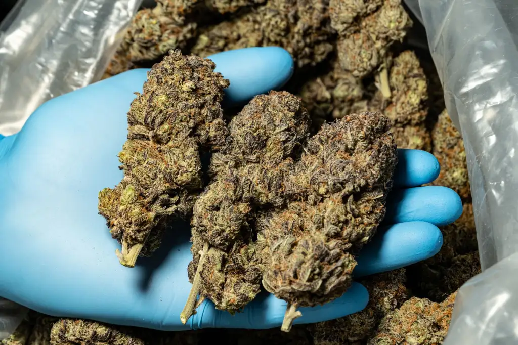居家照护与日间照料如何衔接？滦南县心贴心智慧养老服务中心的社区实践