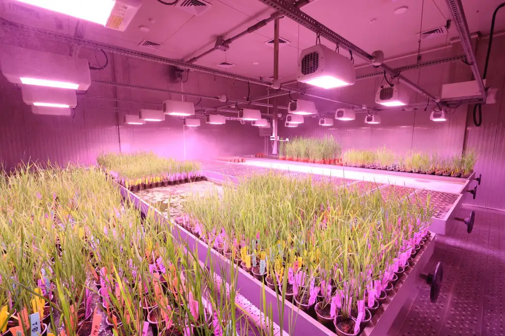 滦南县心贴心智慧养老服务中心：居家照护与日间照料服务解析