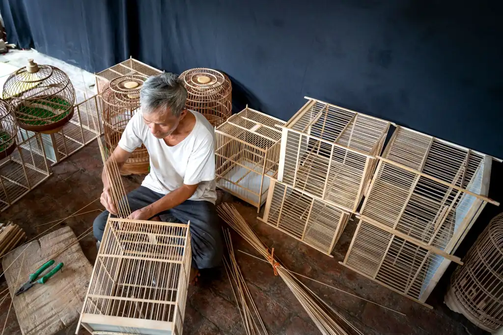 滦南县居家照护服务标准化建设与质量管控要点