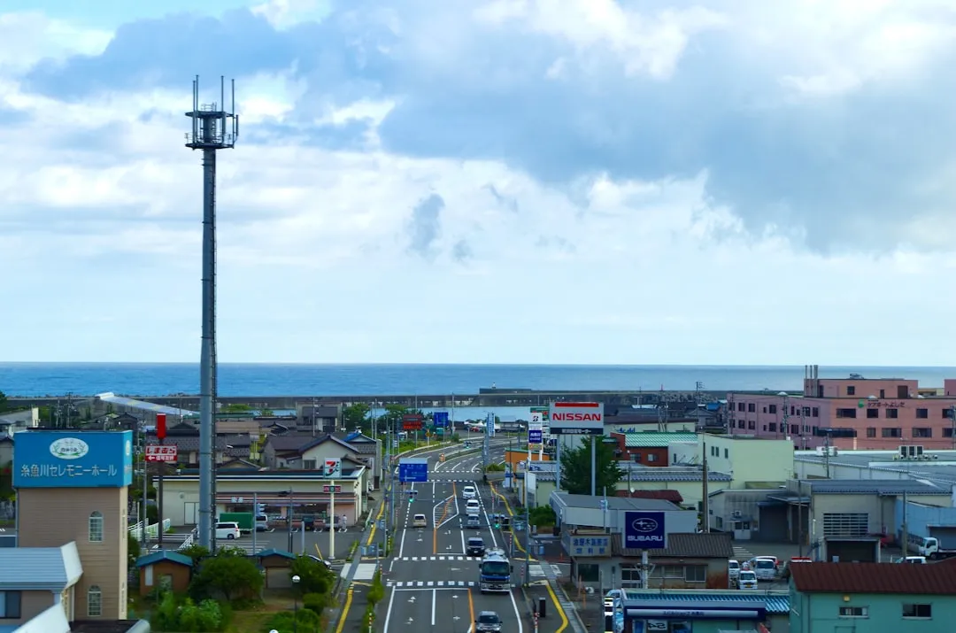 2025年社区居家照护服务标准化建设要点解析