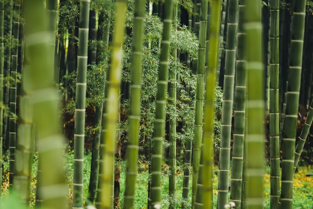 滦南县社区居家照护服务模式创新与落地实践