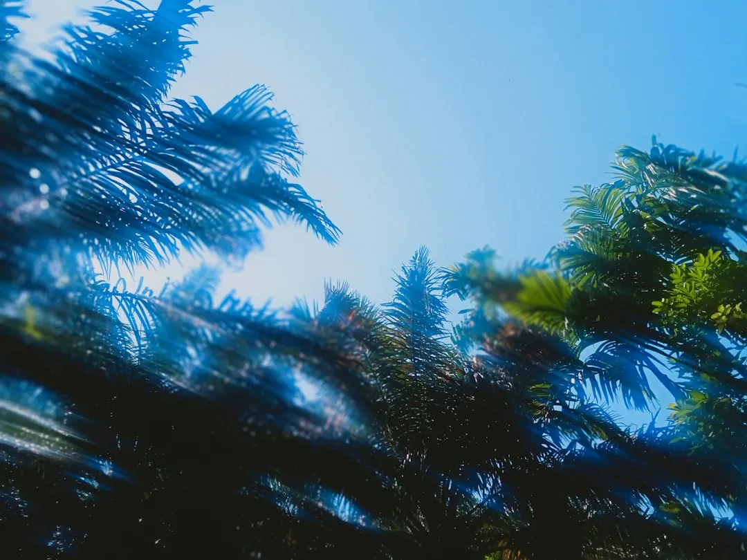 日间照料与居家照护如何选择？社区养老方案对比分析